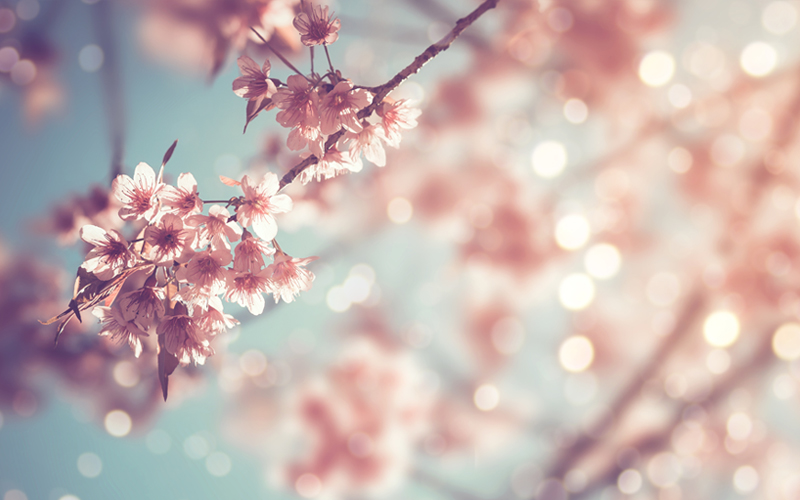 時間がゆっくと流れる場所